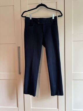 Banana Republic Navy Sloan Fit Pants
